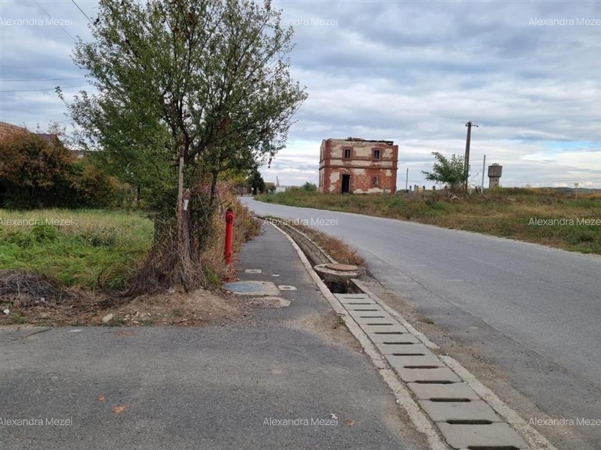 RECO Teren intravilan 900 mp cu toate utilitatile- Osorhei - 3