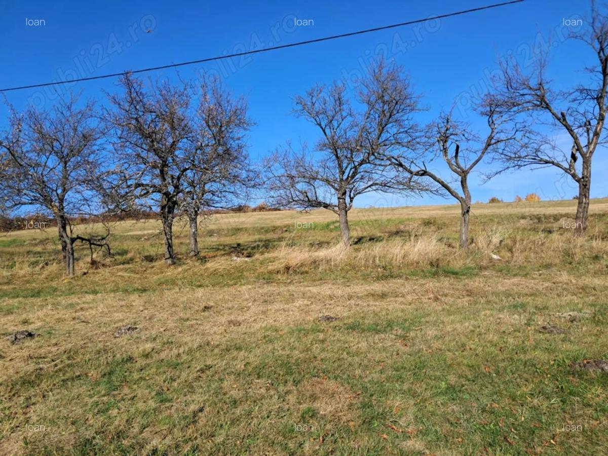 Casa Valea tarnei 8 hectare p mant - 2