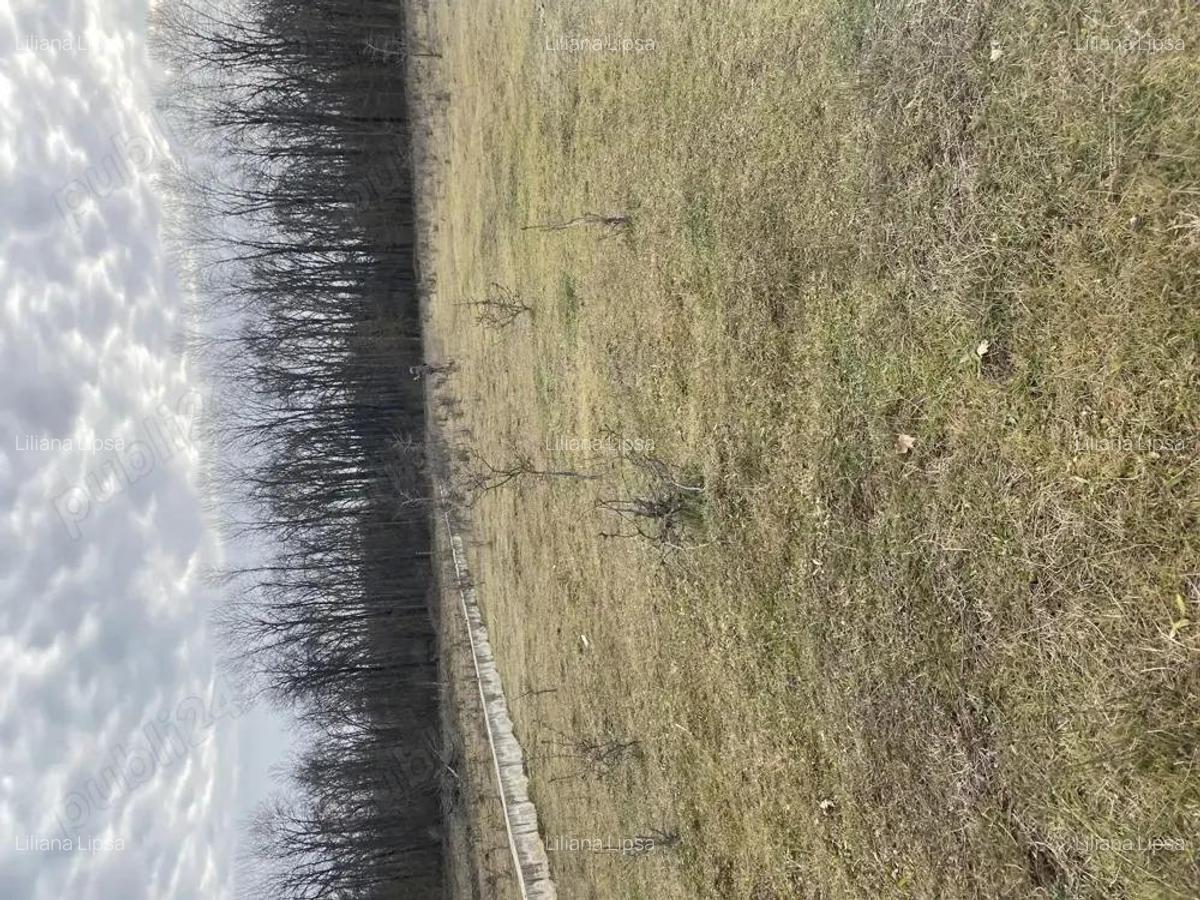 Pipera Padure Oxford Teren 950 mp - 7