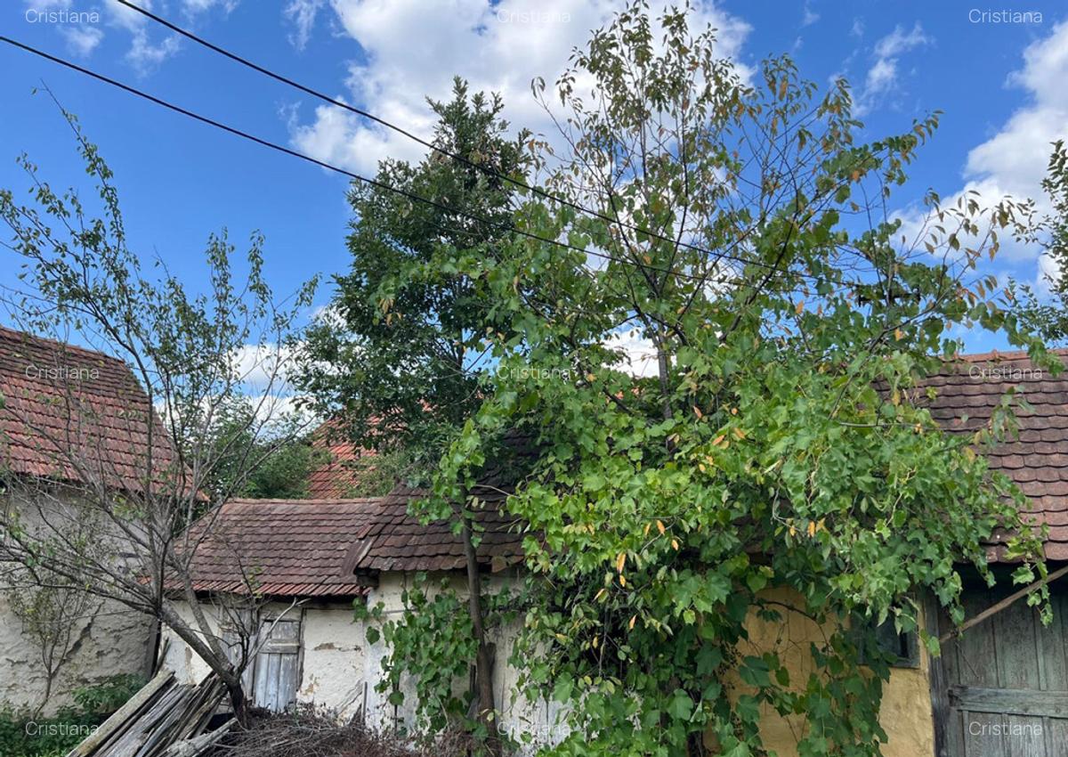 Casa la ?ara, zona pitoreasca, Patar? - 9