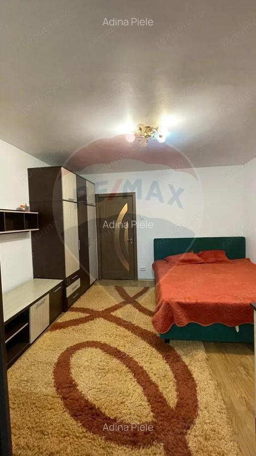 Apartament cu 1 camera de inchiriat in zona Brazda lui Novac - 7