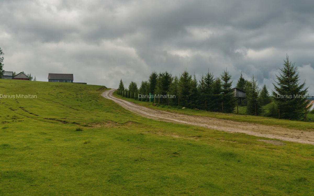 Teren 673mp cu PUZ in Paltinis - 1