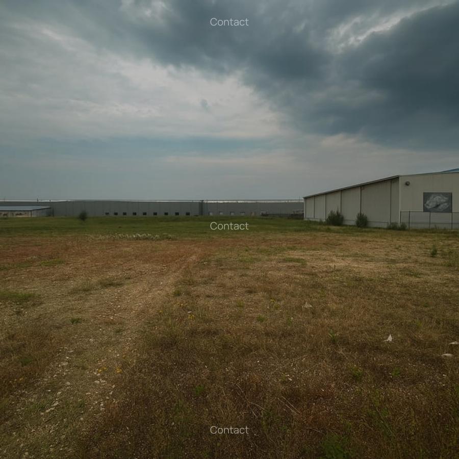 Teren 11000mp, intravilan( curti+constructii ) zona industrala Vest - 2