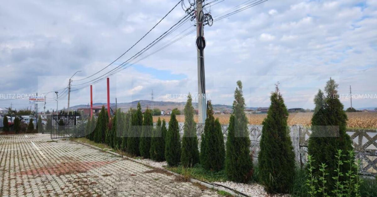 Teren 7.800 mp De vanzare sau de inchiriat - 5 Teren 7.800 mp De vanzare sau de inchiriat - 5