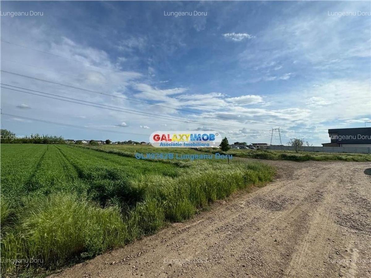 Teren intravilan 1622mp, Lidl Berceni, Utilitati Gaz Electric, 50E mp - 8