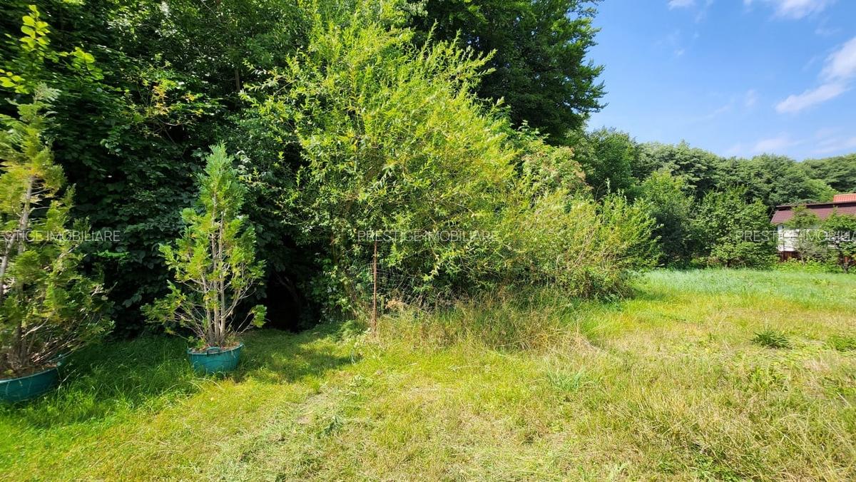 Teren intravilan, 1195mp, utilitati, la liziera padurii, parau, Faget - 5