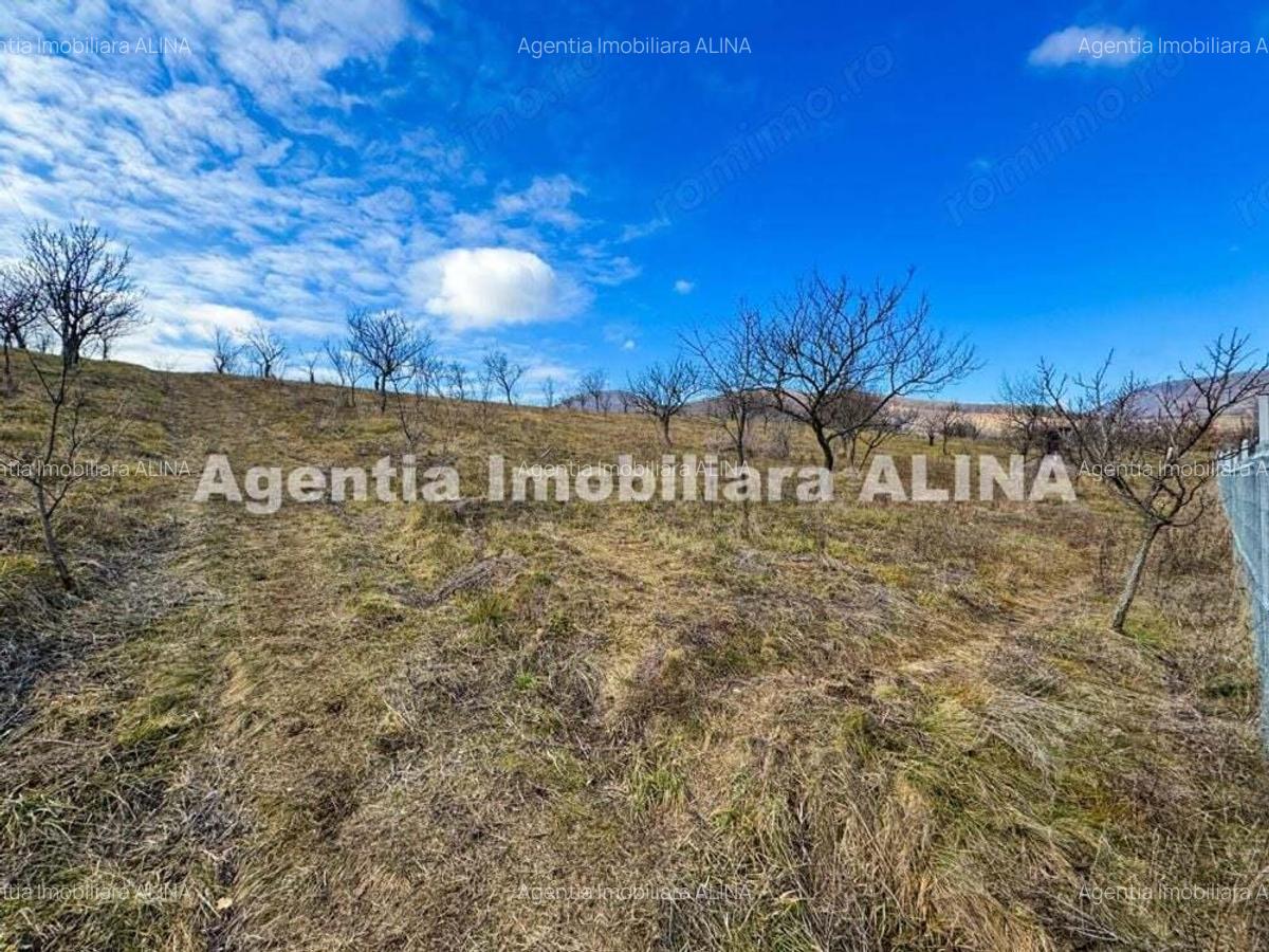 15 parcele de Teren intravilan in Deva, zona Calugareni, Strada Prunilor, Jud. Hd, cu PUZ, PUD, etc. - 14