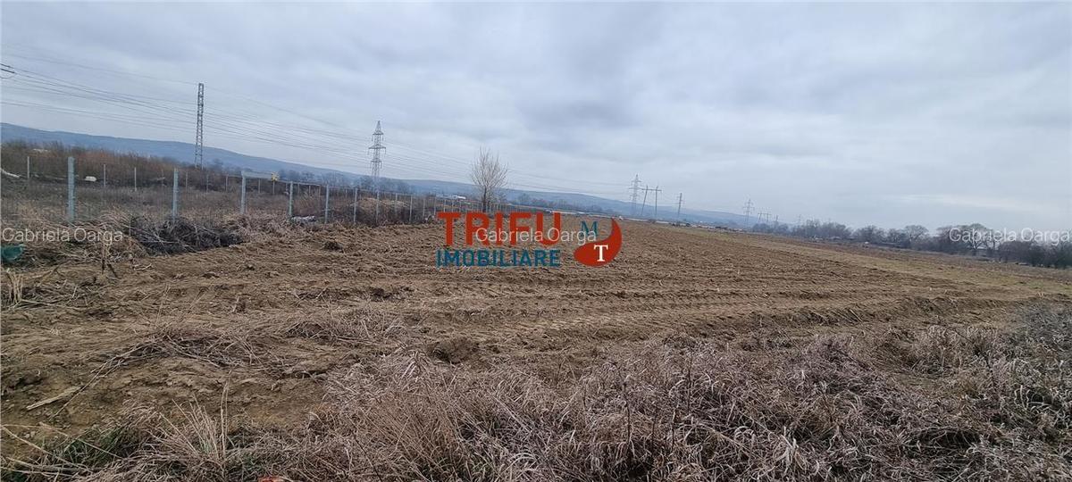 Teren industrial de vanzare 3650 mp in Alba Iulia cu utilitati - 3