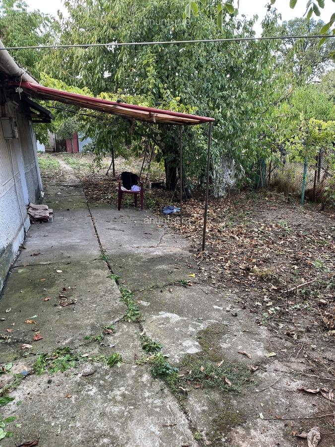 Tatarai, zona Scrovistea - 3