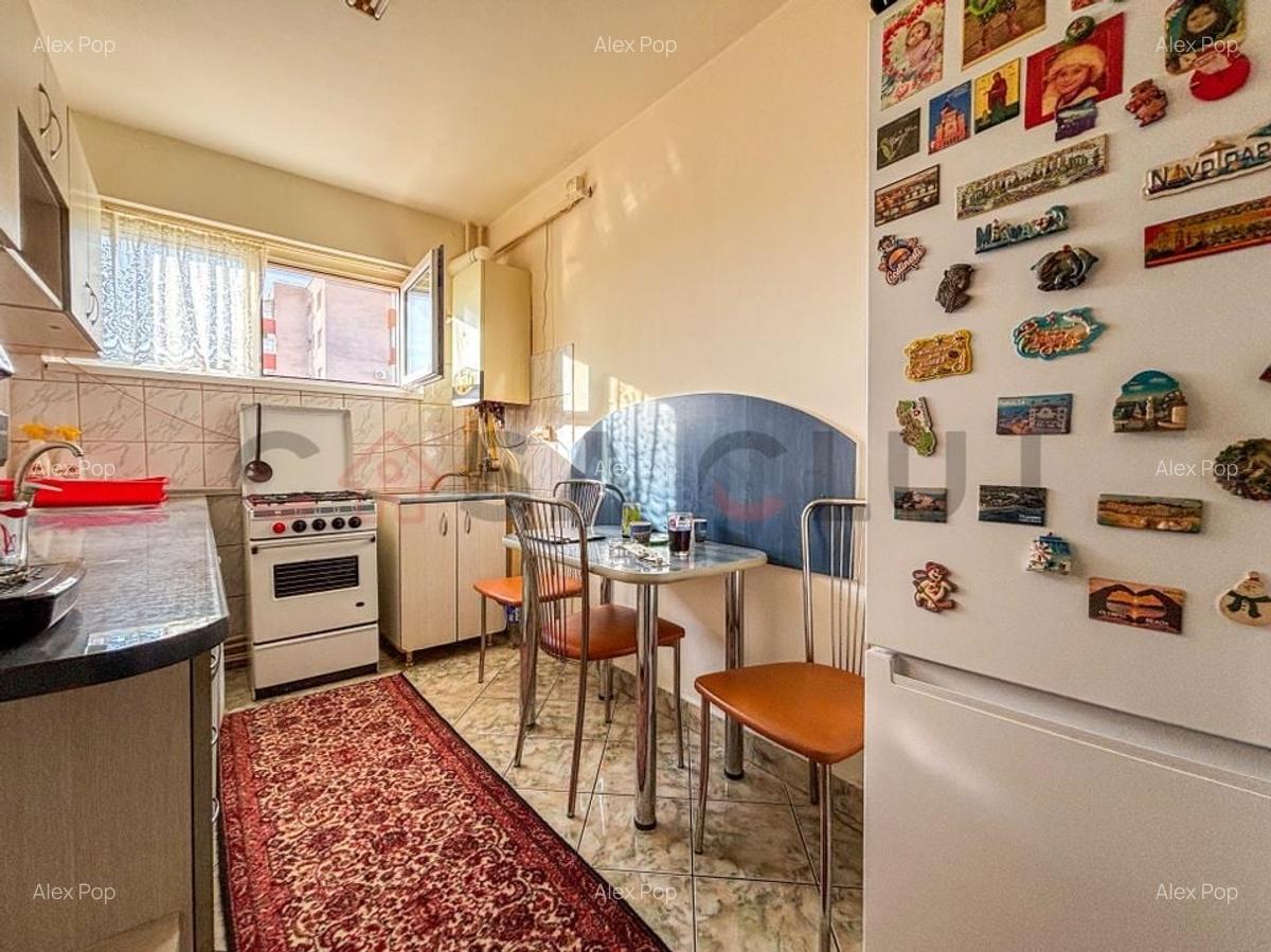 Parcul Primaverii - Bloc Izolat, Orientare Sud-Vest, Etaj Intermediar - 5