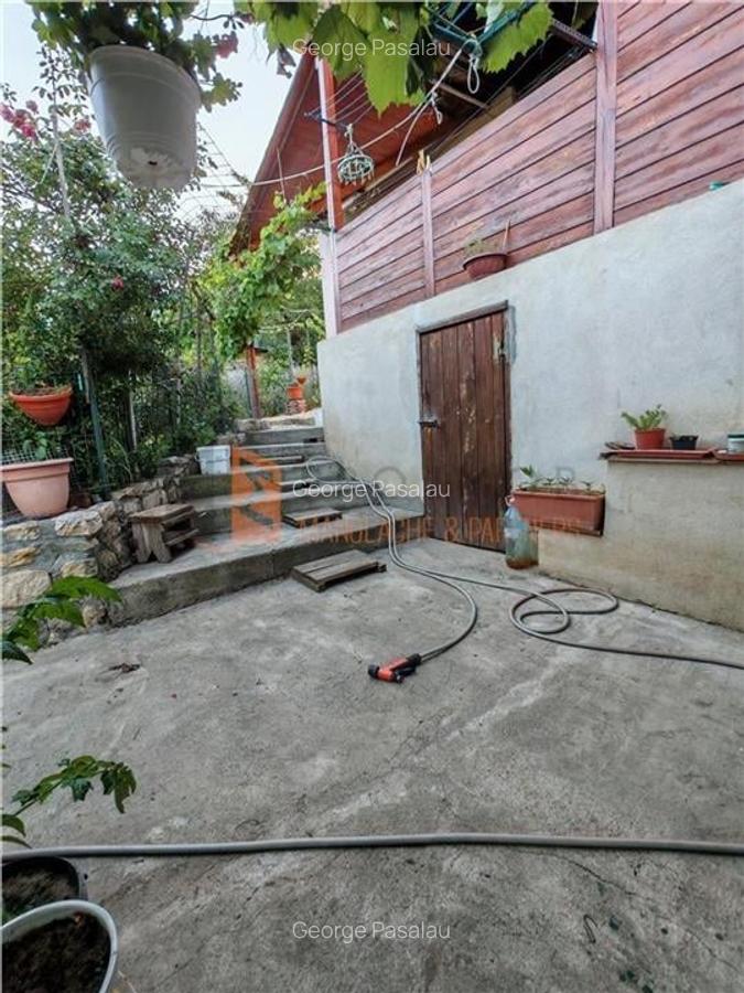 EXCLUSIVITATE! Casa+teren si cabana de lemn zona Naeni - 15
