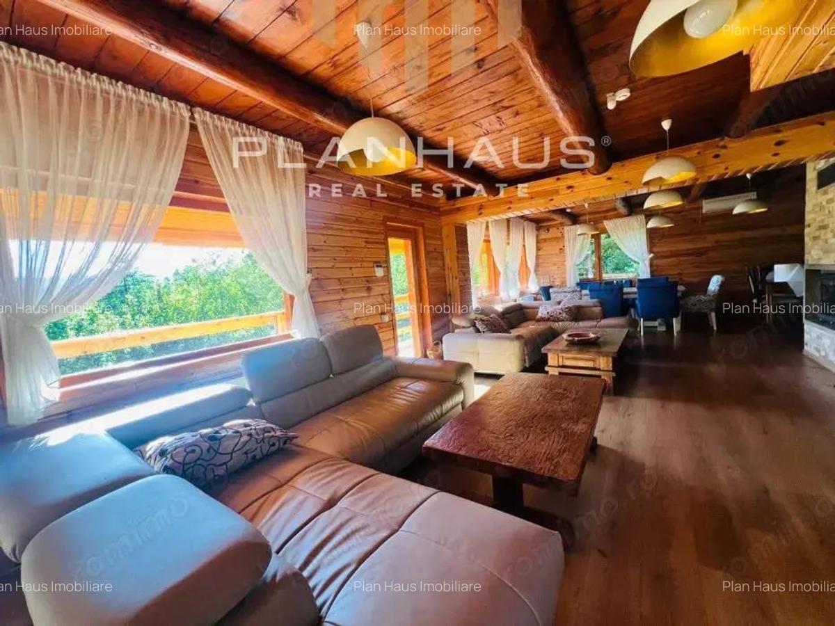 Oportunitate! Cabana de vis la Firiza 5 dormitoare, living spa?ios ?i teren generos de 4700 mp! - 13