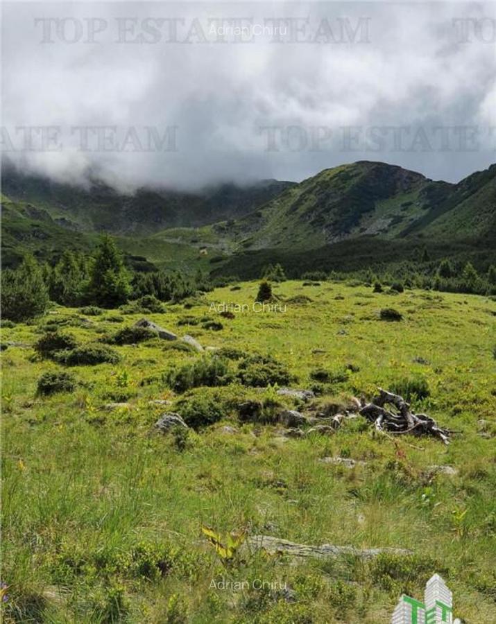 SUPER OPORTUNITATE, DE VANZARE O PROPRIETATE SPECIALA, MUNTE - 5