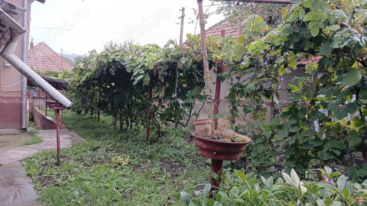 Casa de vanzare (parter + etaj) - 3
