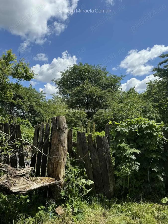 Casa de vanzare! - 1