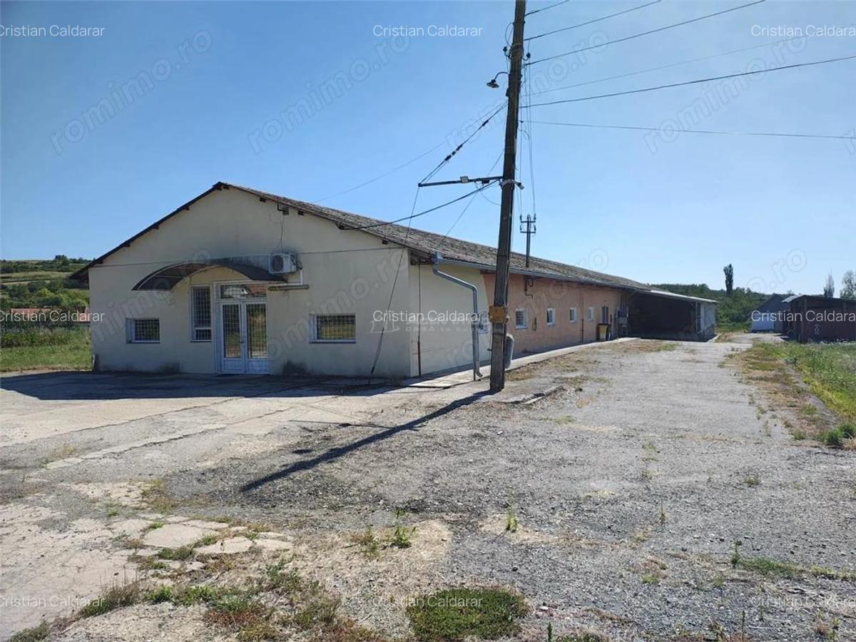 Hala industriala de vanzare sau inchiriere Misca - judetul Bihor - 972 mp construiti -Teren 12538 - 16