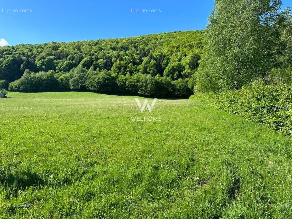 Teren Intravilan in Tocile-priveliste deosebita - Sadu - Sibiu - 2