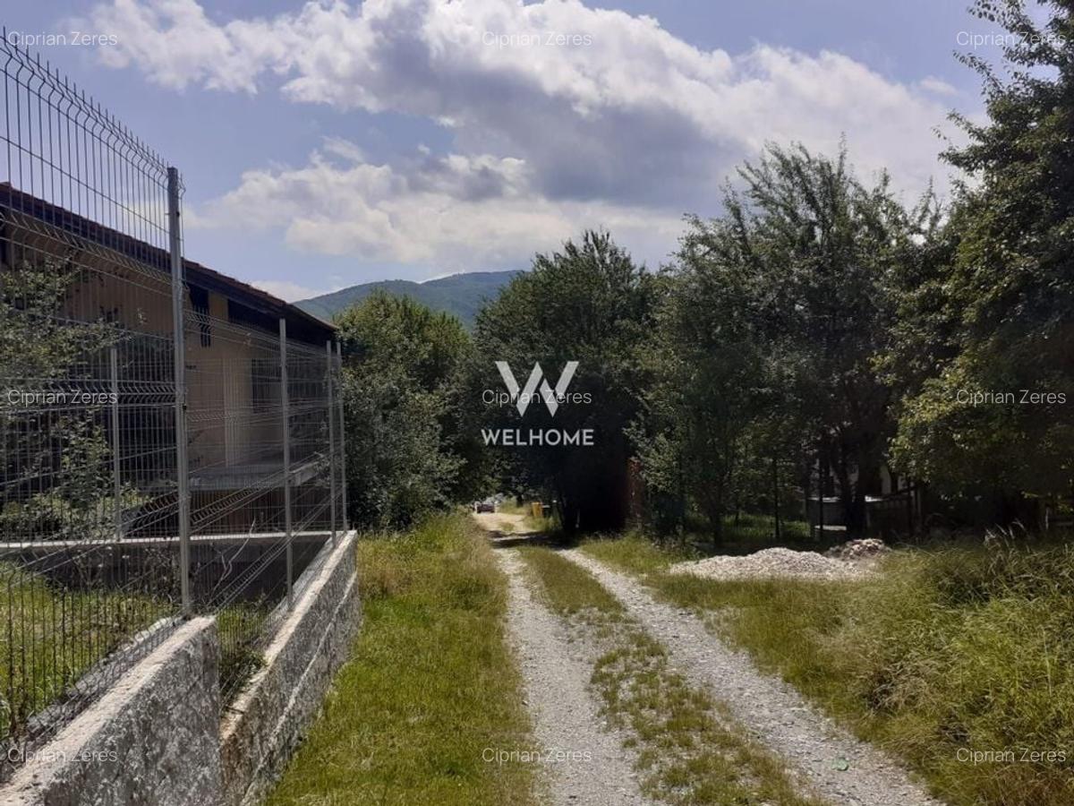 Teren intravilan constructii  - Cisnadioara - Sibiu - 3