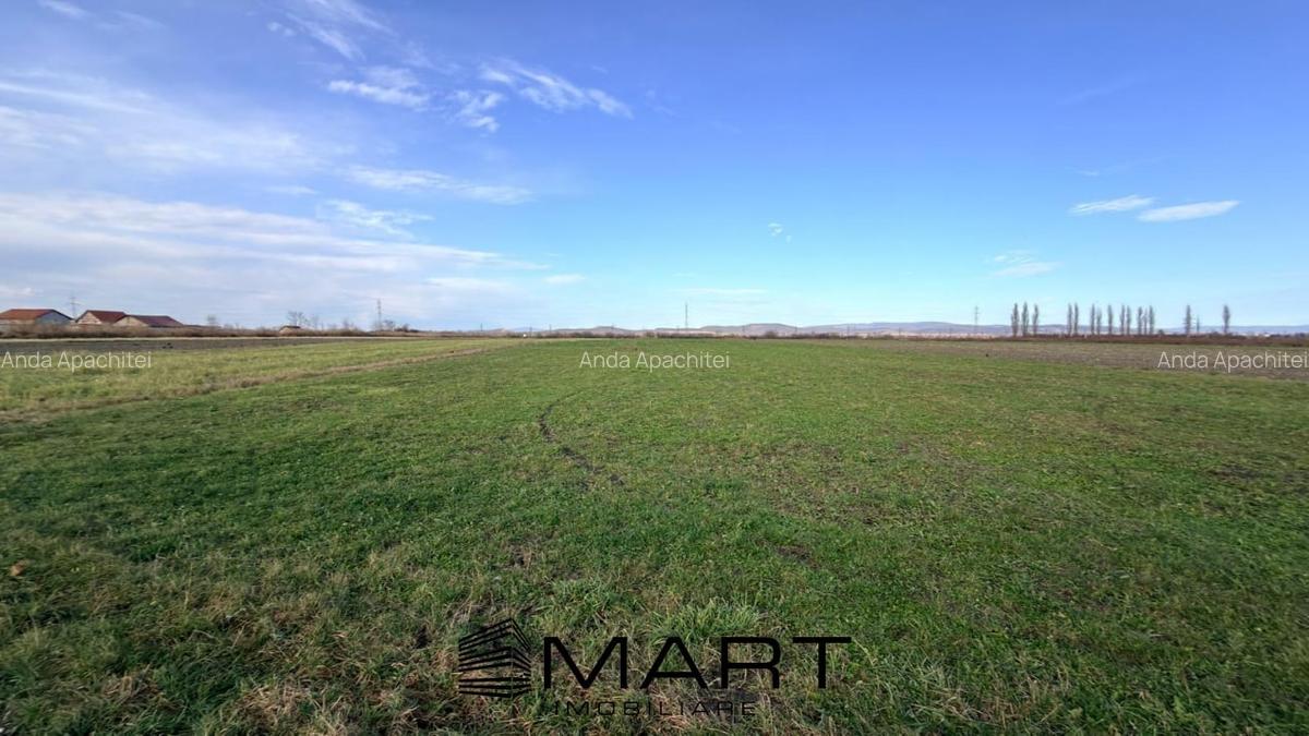 Teren Extravilan 15.000 mp Prejmer - 4