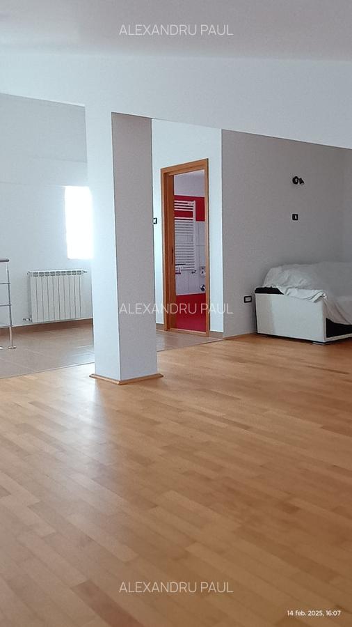 Victoria - Intre strada Poporului - Bulevardul Lapusneanu! Vila P+1+M - 5