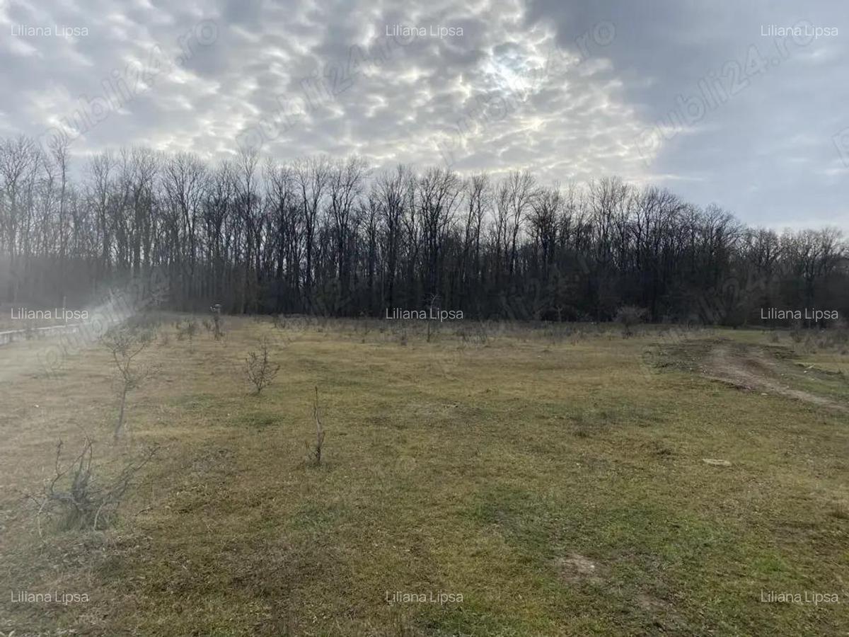 Pipera Padure Oxford Teren 950 mp - 6