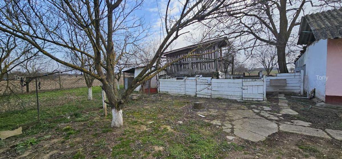 Vand casa si gradina in Satu Nou, Comuna Misca Jud, Arad - 7