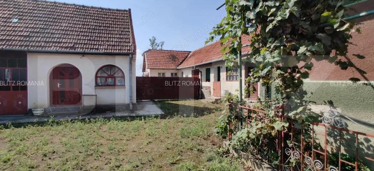 Casa mare cu gospodarie completa Belin?, jude?ul Timi? teren 4.900 mp - 7