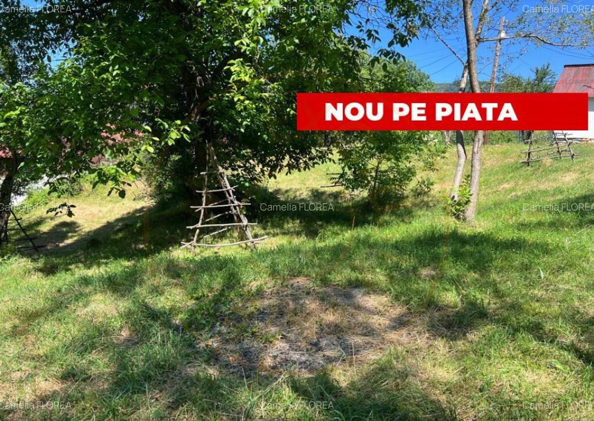 Teren 4996 mp zona de munte Comuna Arefu-Capataneni Arges - 9