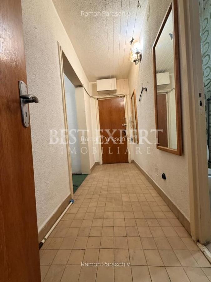 2 Camere Theodor Pallady Salajan - 11
