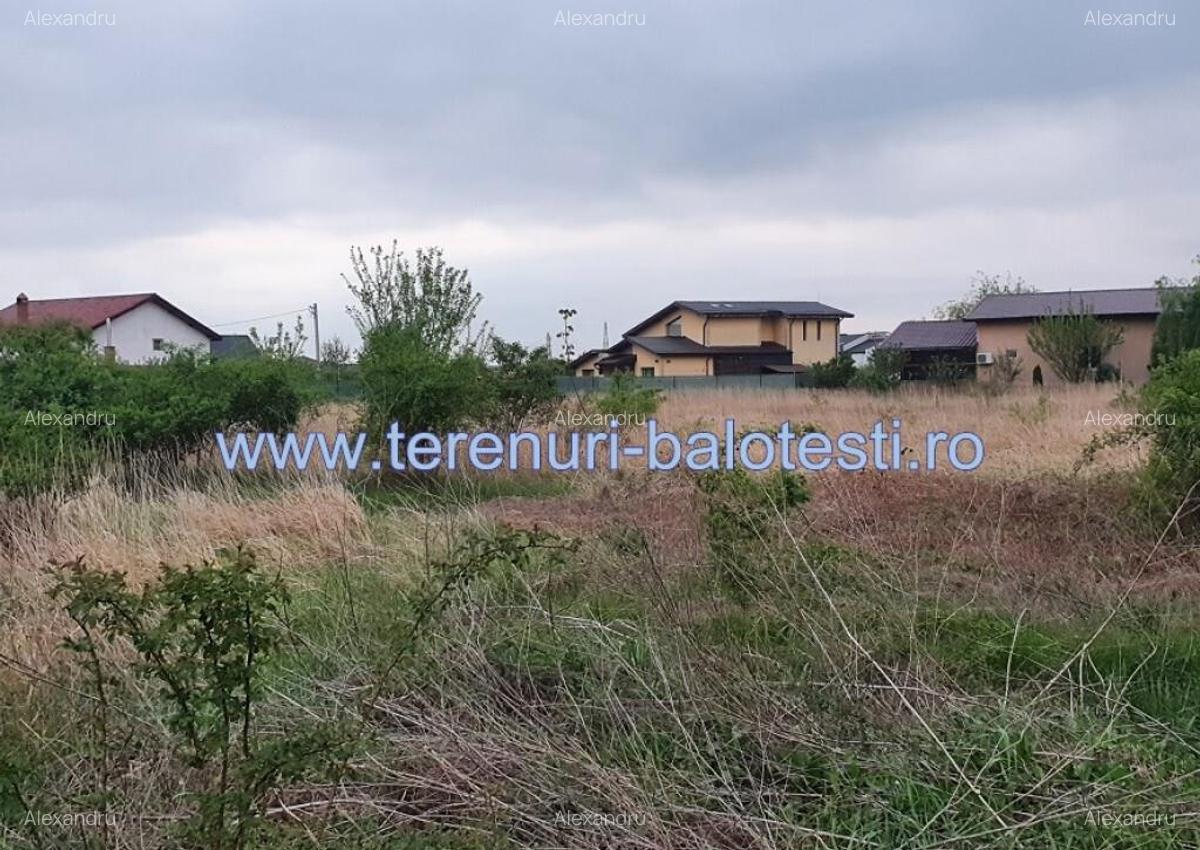 Lot teren Balotesti,langa case noi-50 m de asfalt 600mp - 17