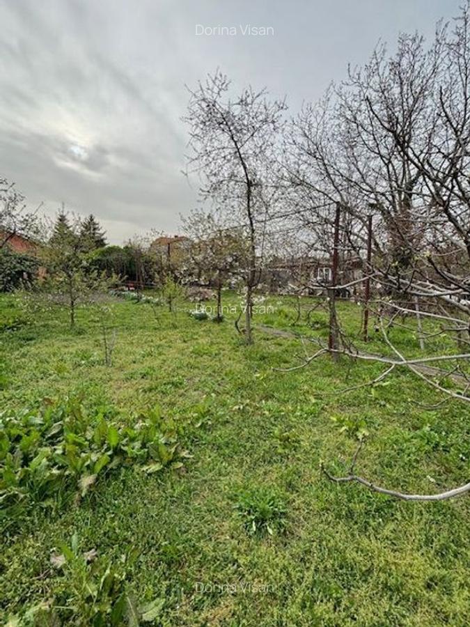 Casa individuala cu teren generos - 15