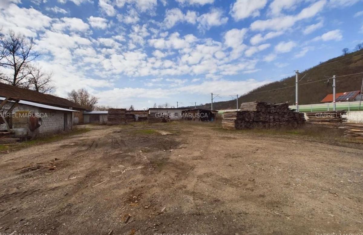 Fabrica prelucrare lemn de vanzare - Lipova, Arad - 6