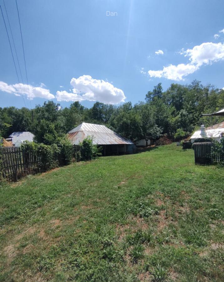 Casa la tara 85mp, Anexe, teren 4098mp, Recea, Sat Deagu de Jos, Arges - 3