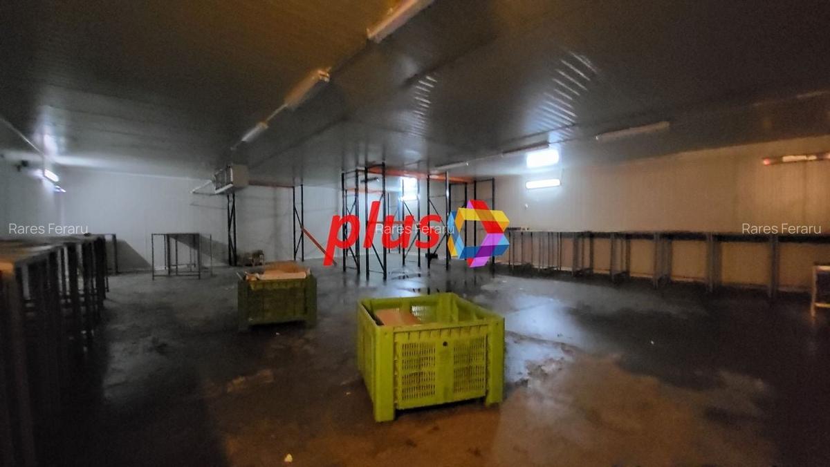Spatiu industrial - 580 mp  # plus-imo.ro - 9