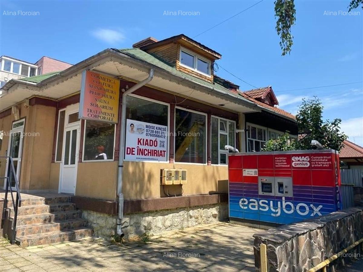 Spatiu de inchiriat - cu posibilitati multiple de utilizare - 1