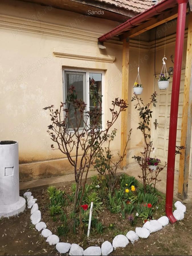 Vand casa in Caracal - 1 Vand casa in Caracal - 1