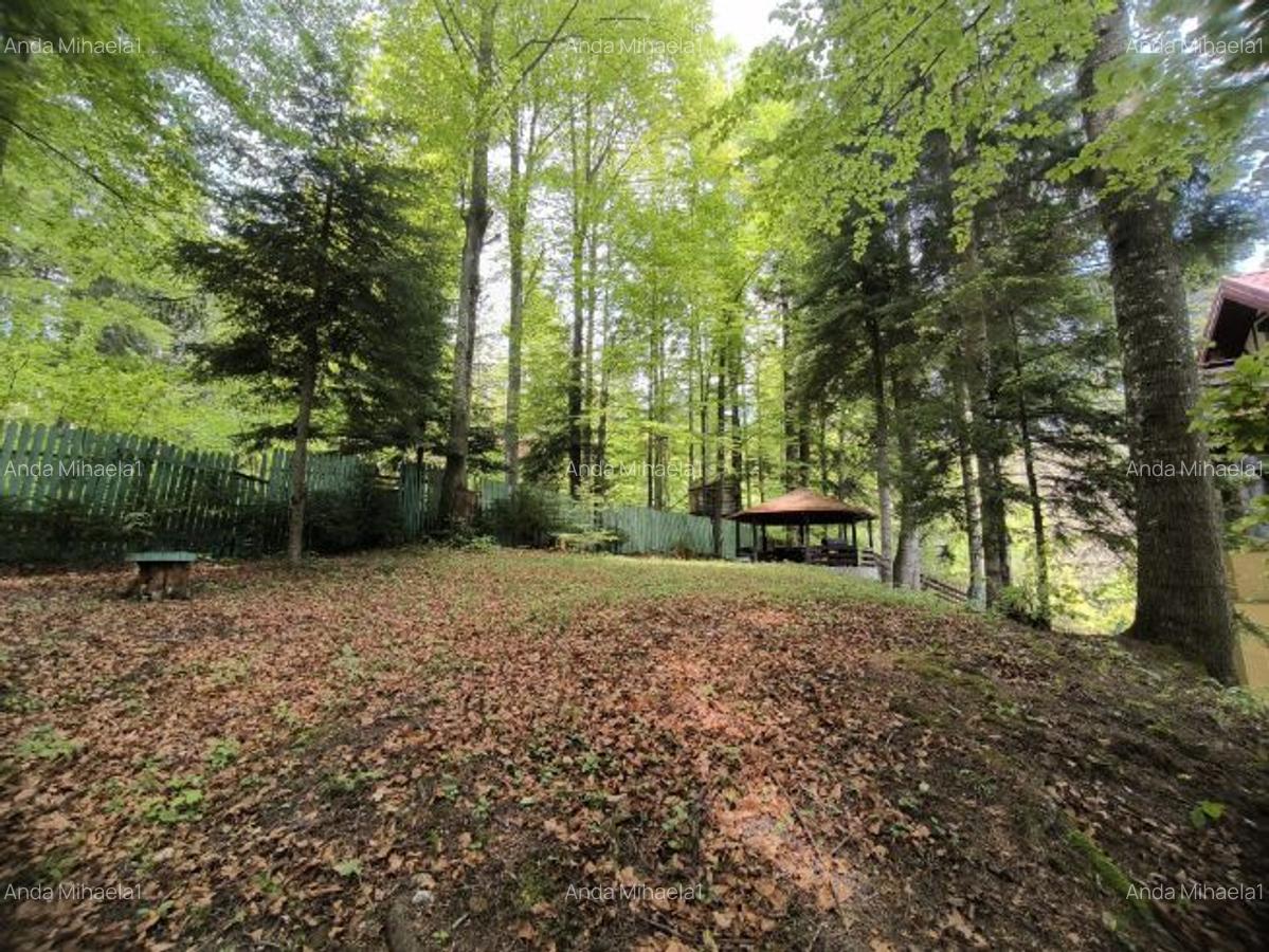 Vilă si 765 mp curte lângă Castelul Peleș - 4