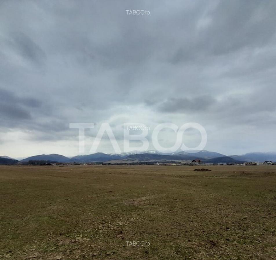 Teren intravilan 15.000 mp Front 47 m DN7 in Talmaciu zona i - 5