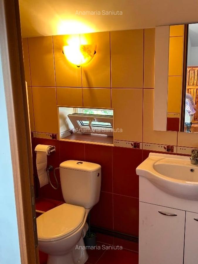 Proprietate specială, 280 mp în Dumbrăvița - 14