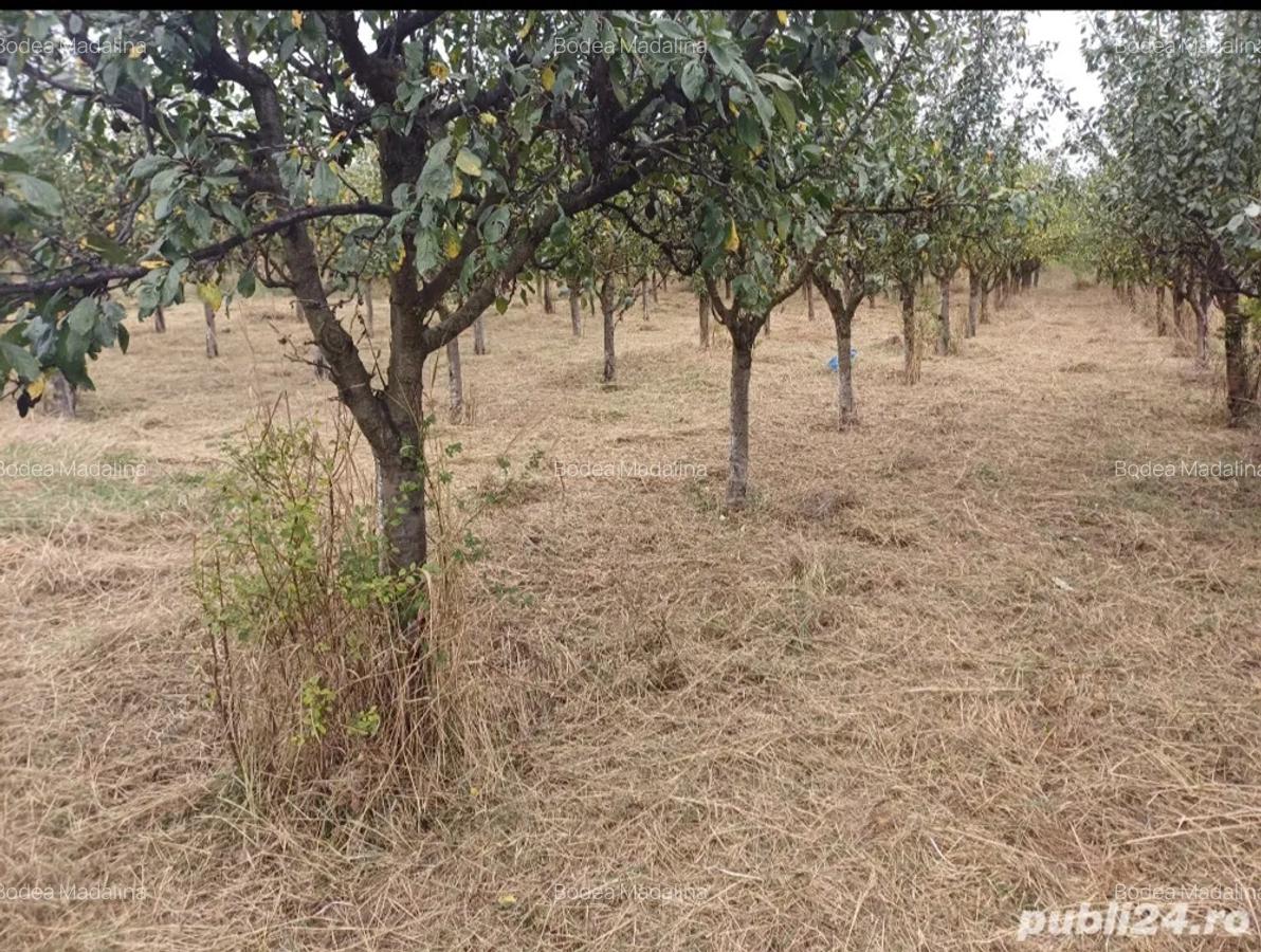 Vand casa Agrisu mare - 1