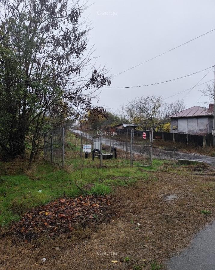 Casa batraneasca plus teren 1600mp Toporu jud. Giurgiu - 5
