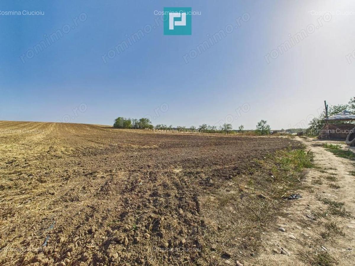 TEREN REMETEA MICA, JUDE?UL TIMI? - 4