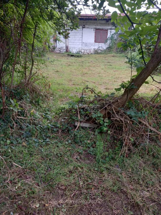 De vanzare casa batraneasca cu teren generos in Poiana Golului Re?i?a - 7 De vanzare casa batraneasca cu teren generos in Poiana Golului Re?i?a - 7