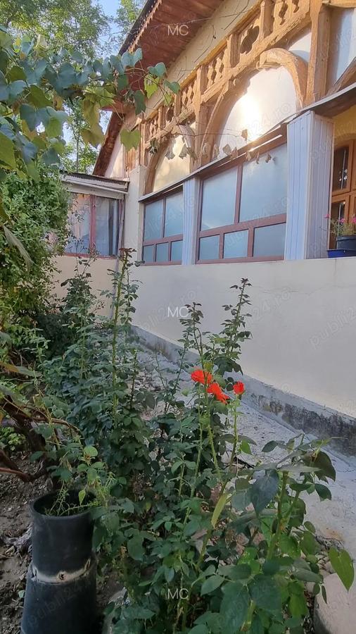 Casa si teren suprafata totala 3359 mp - sat Teslui, judetul Olt - 5