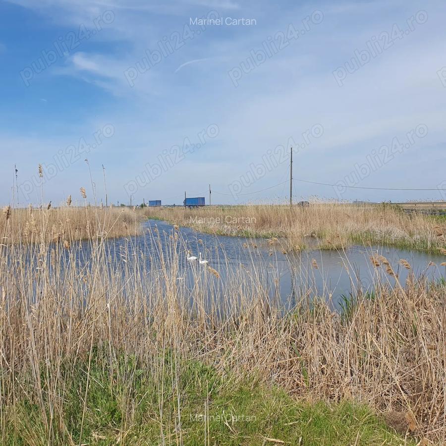 De Vanzare, Casa la tara - 2