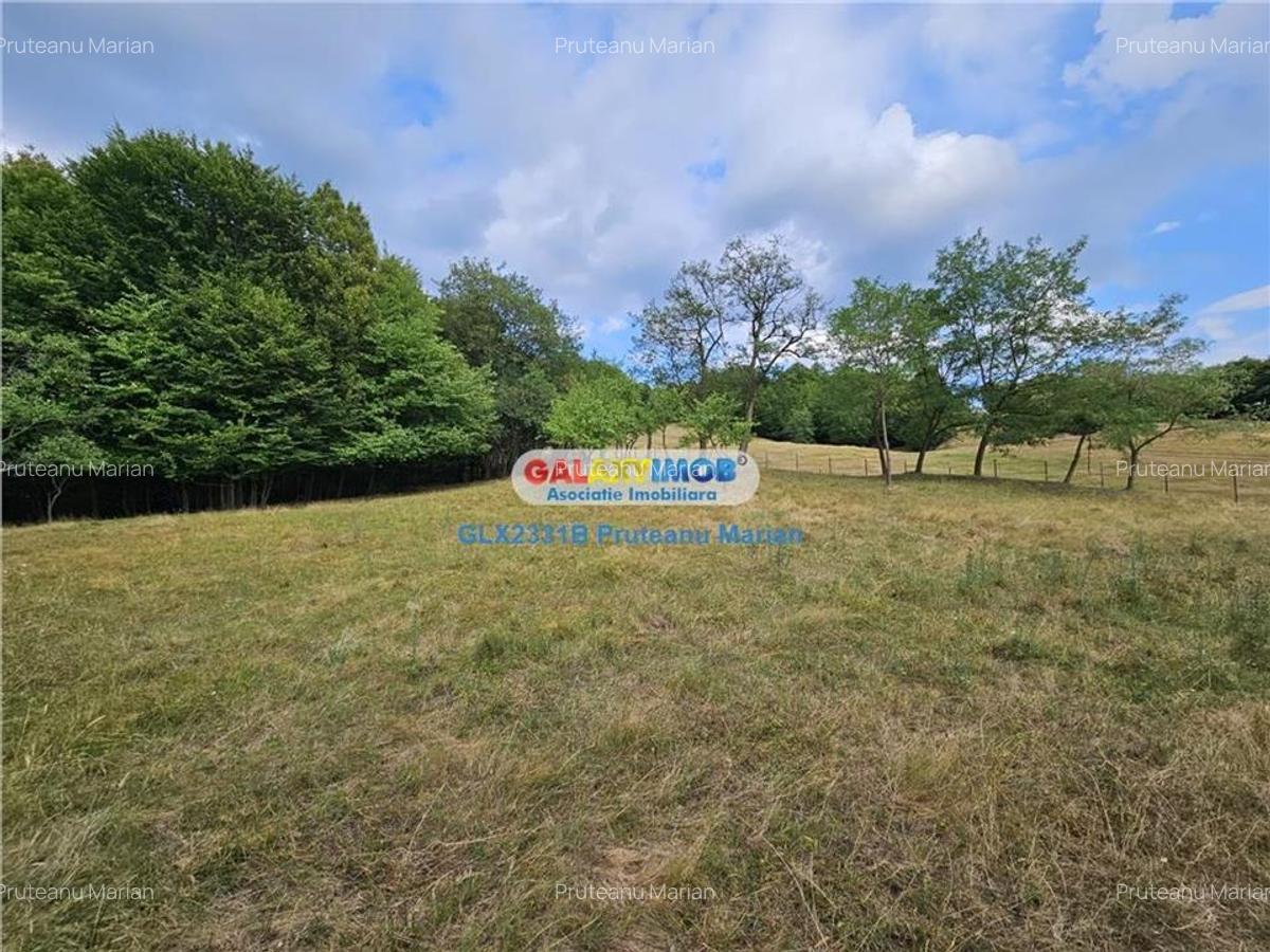 Vanzare teren 2680 m situat la Curtea de Arges cu iesire spre Transfag - 1
