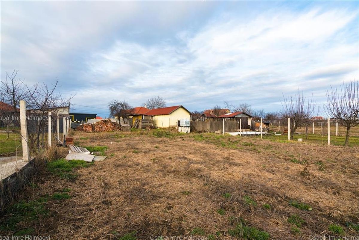 Teren intravilan cu toate utilitatile in Bors - 6
