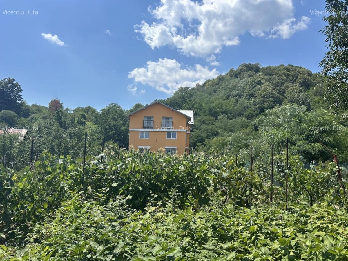VAND O VILA IN PADUREA DIN FILIPESTI - 16
