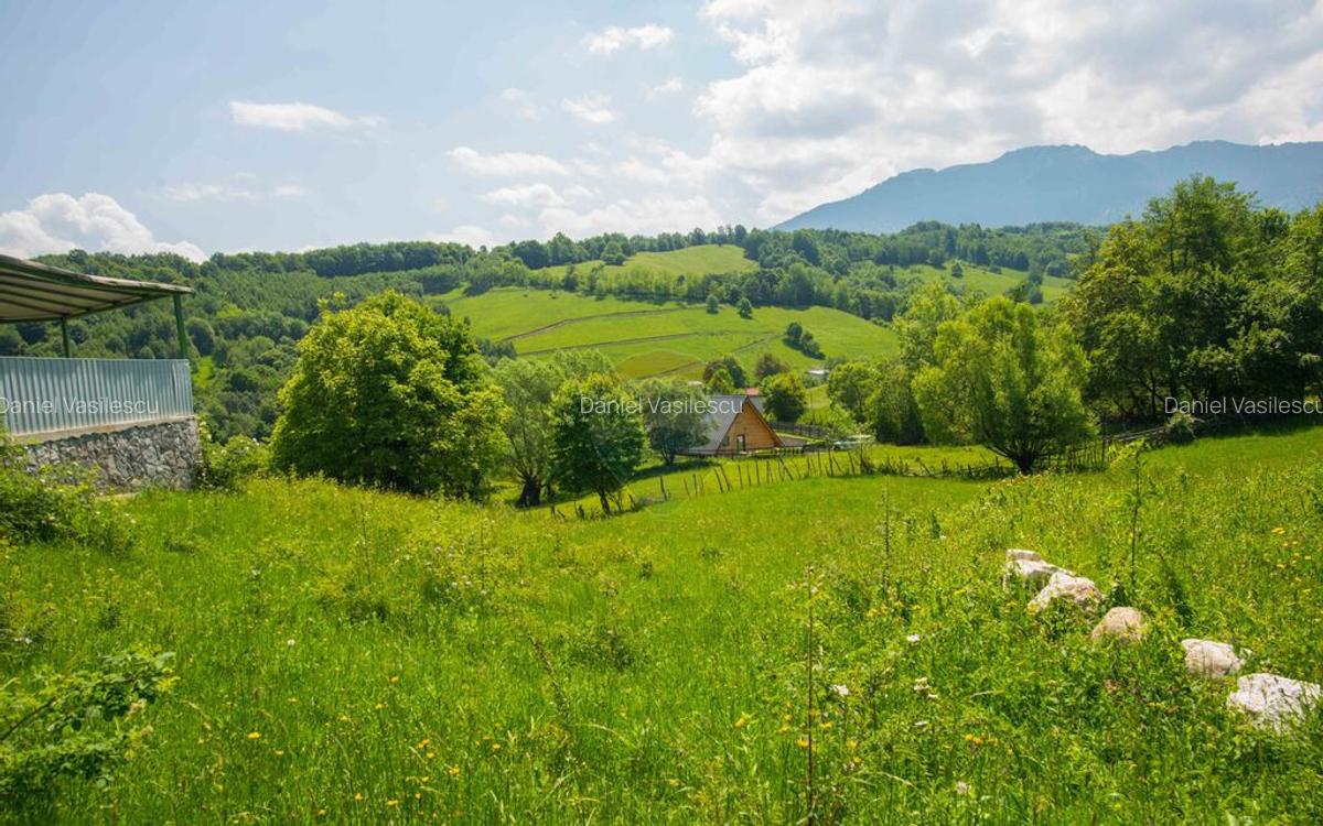 Teren cu utilitati, 5,495mp Bran - Strada Muchia hotarului - 16