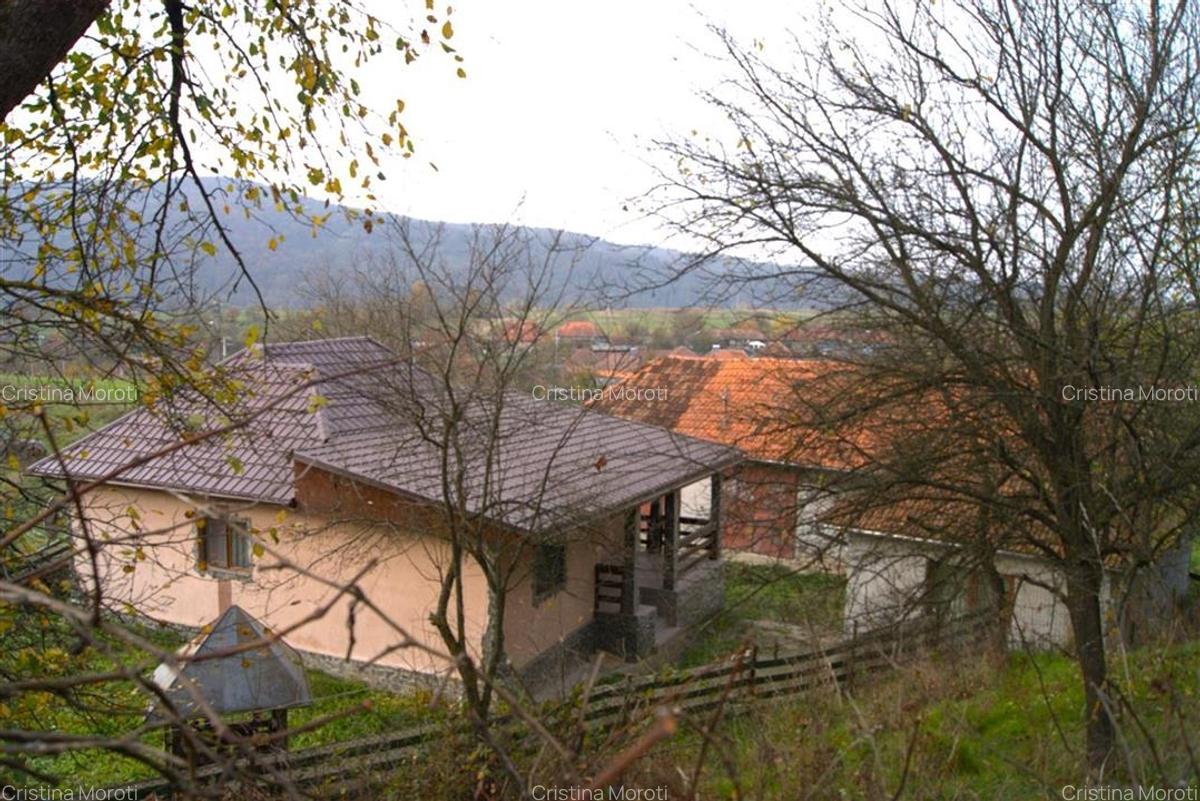 Casa si teren in Vata de Jos, Ocisor - 15